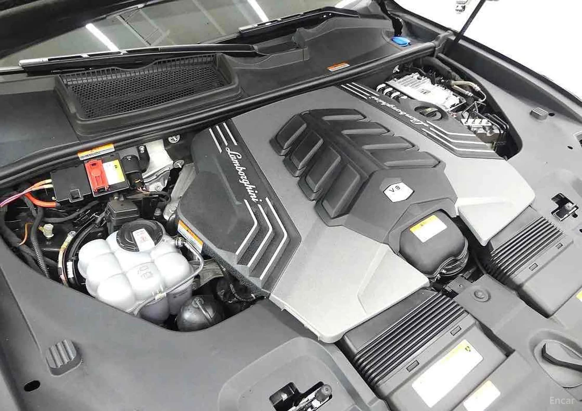 Urus