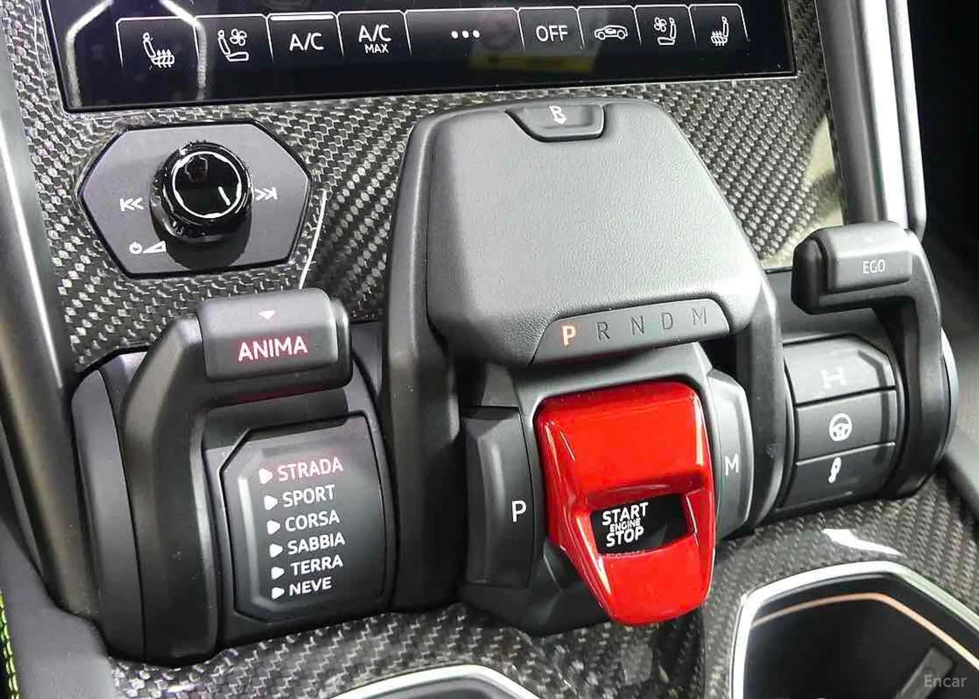 Urus