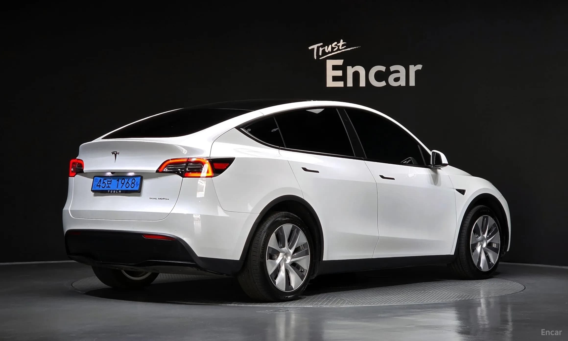 Model Y