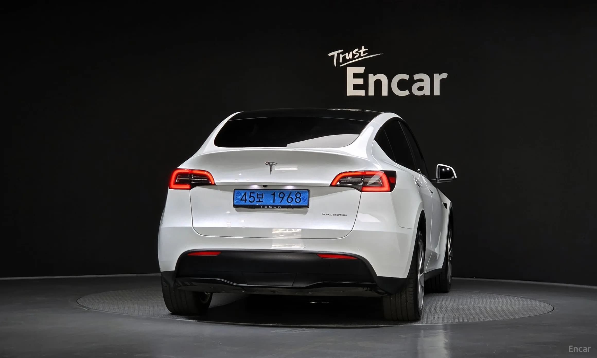 Model Y