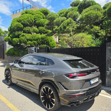 Urus