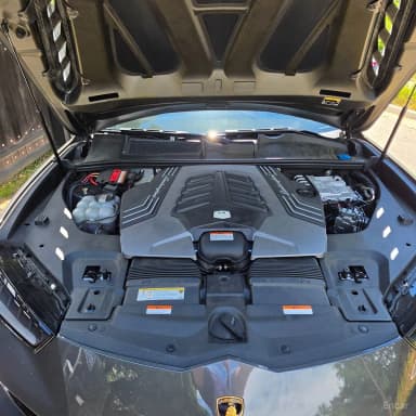 Urus