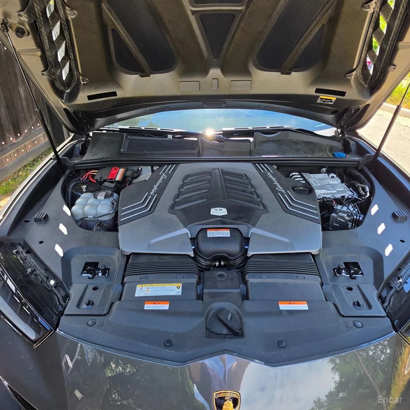 Urus