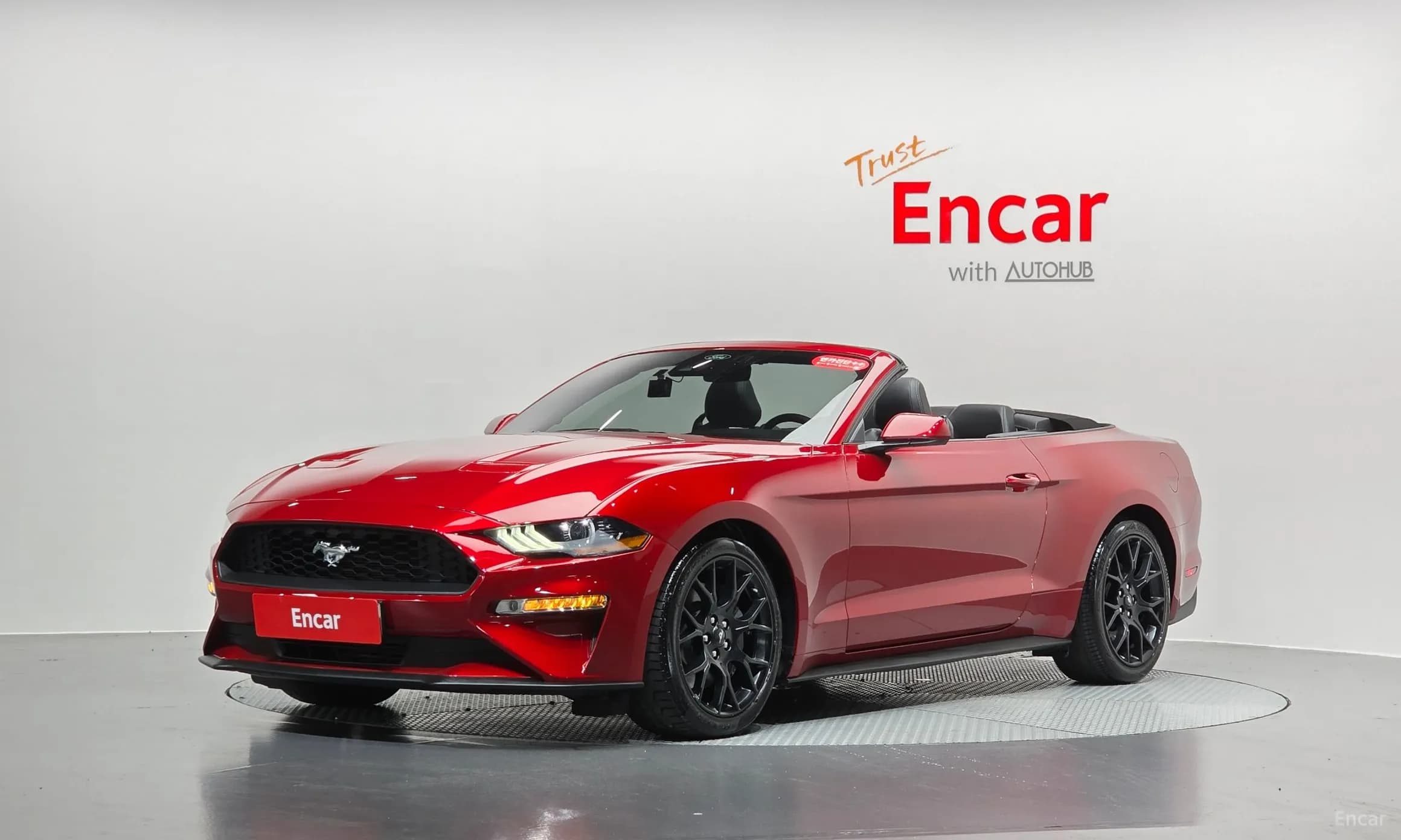 Mustang