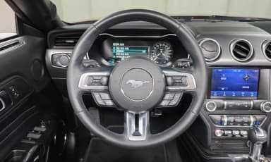 Mustang