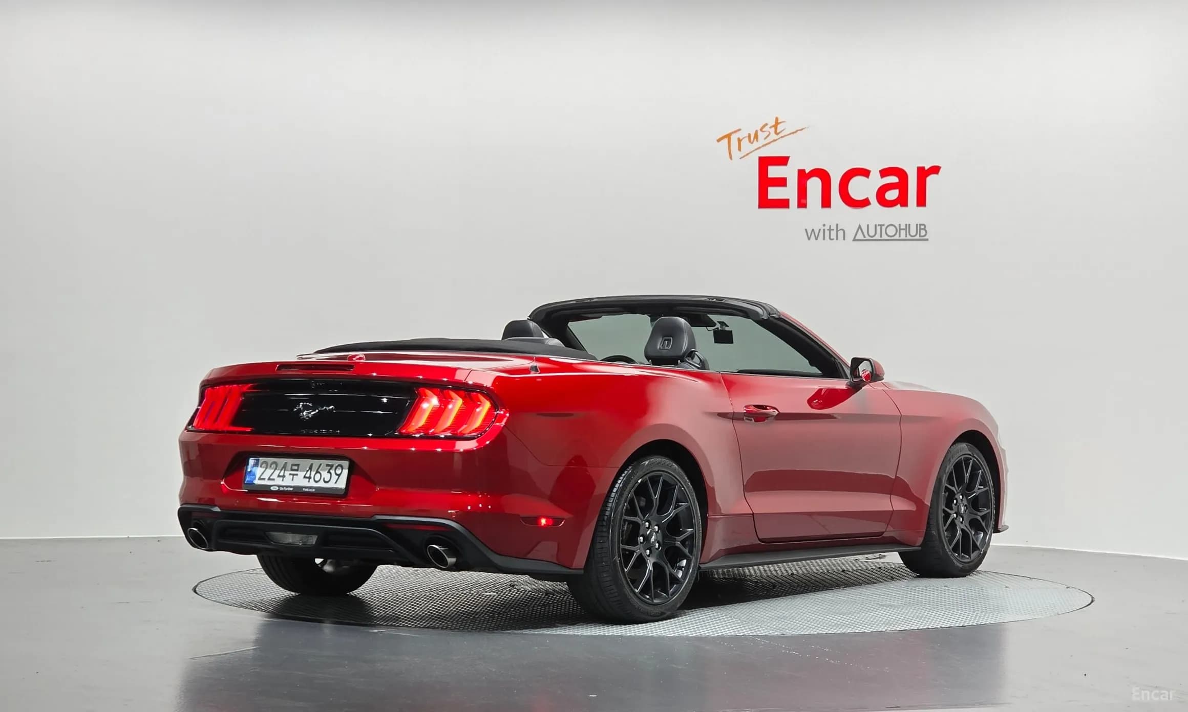 Mustang