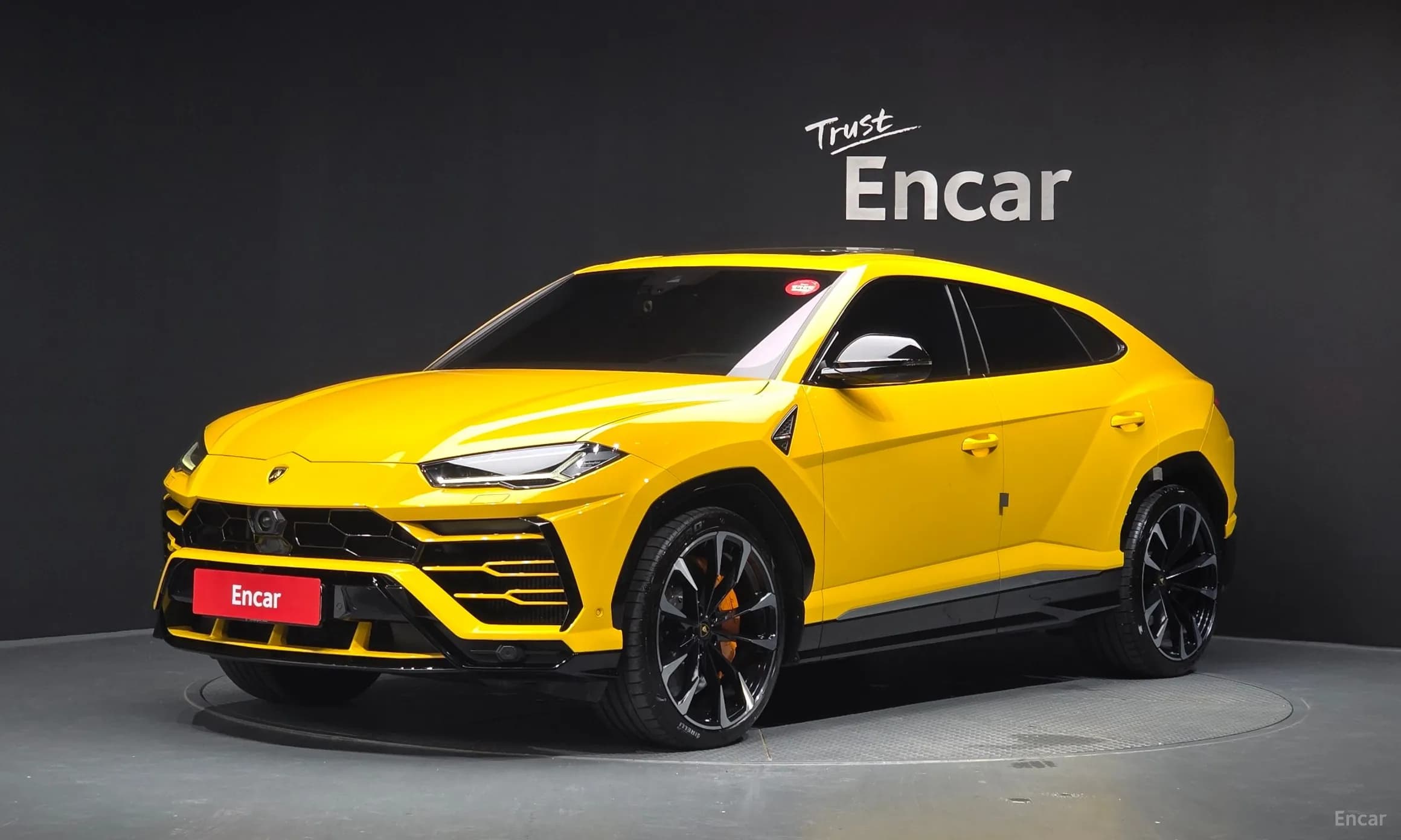 Urus