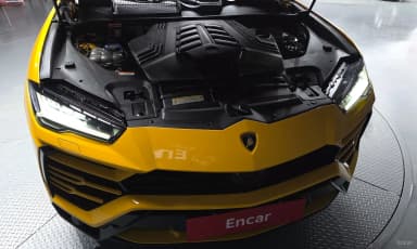 Urus