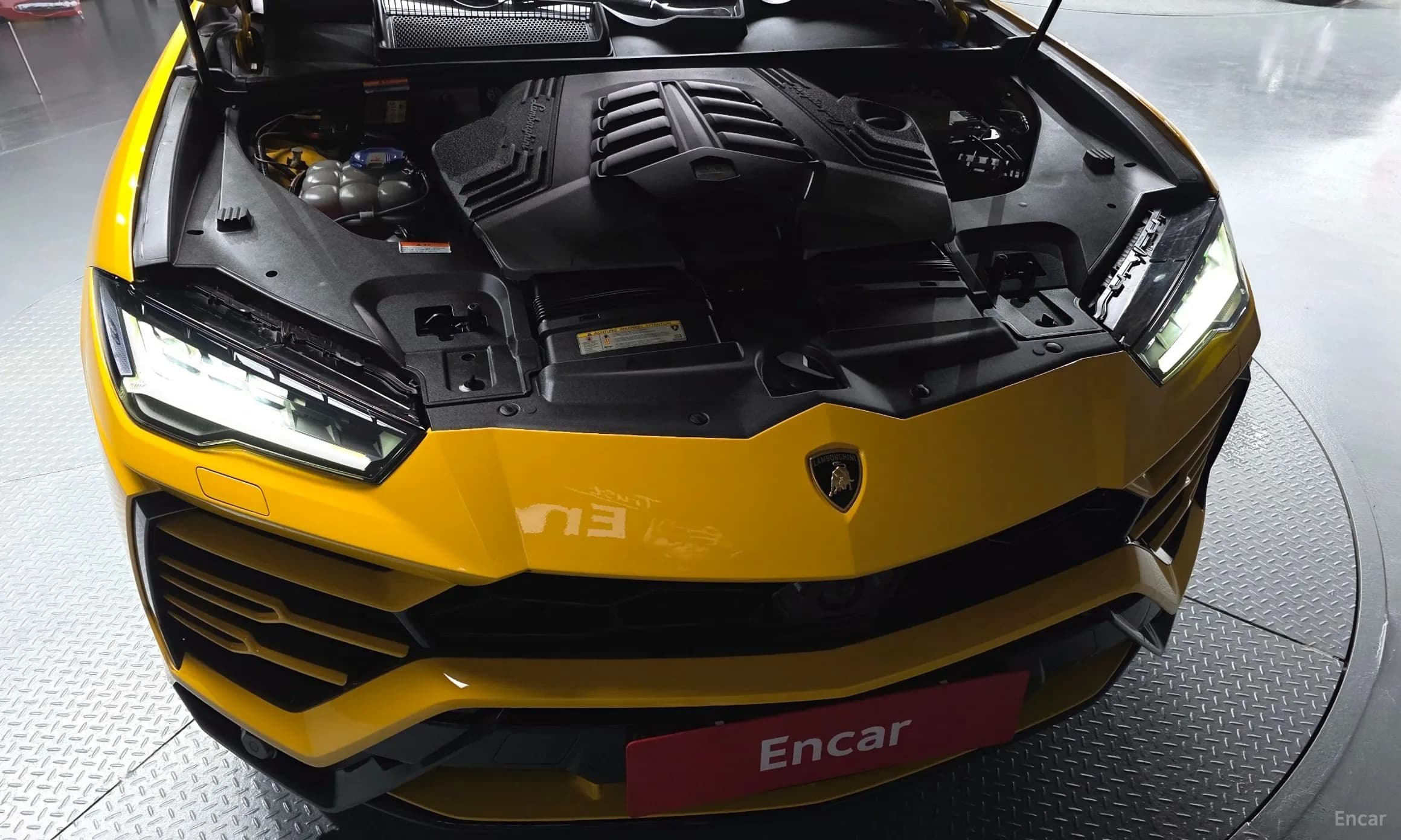 Urus