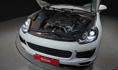New Cayenne