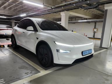 Model Y
