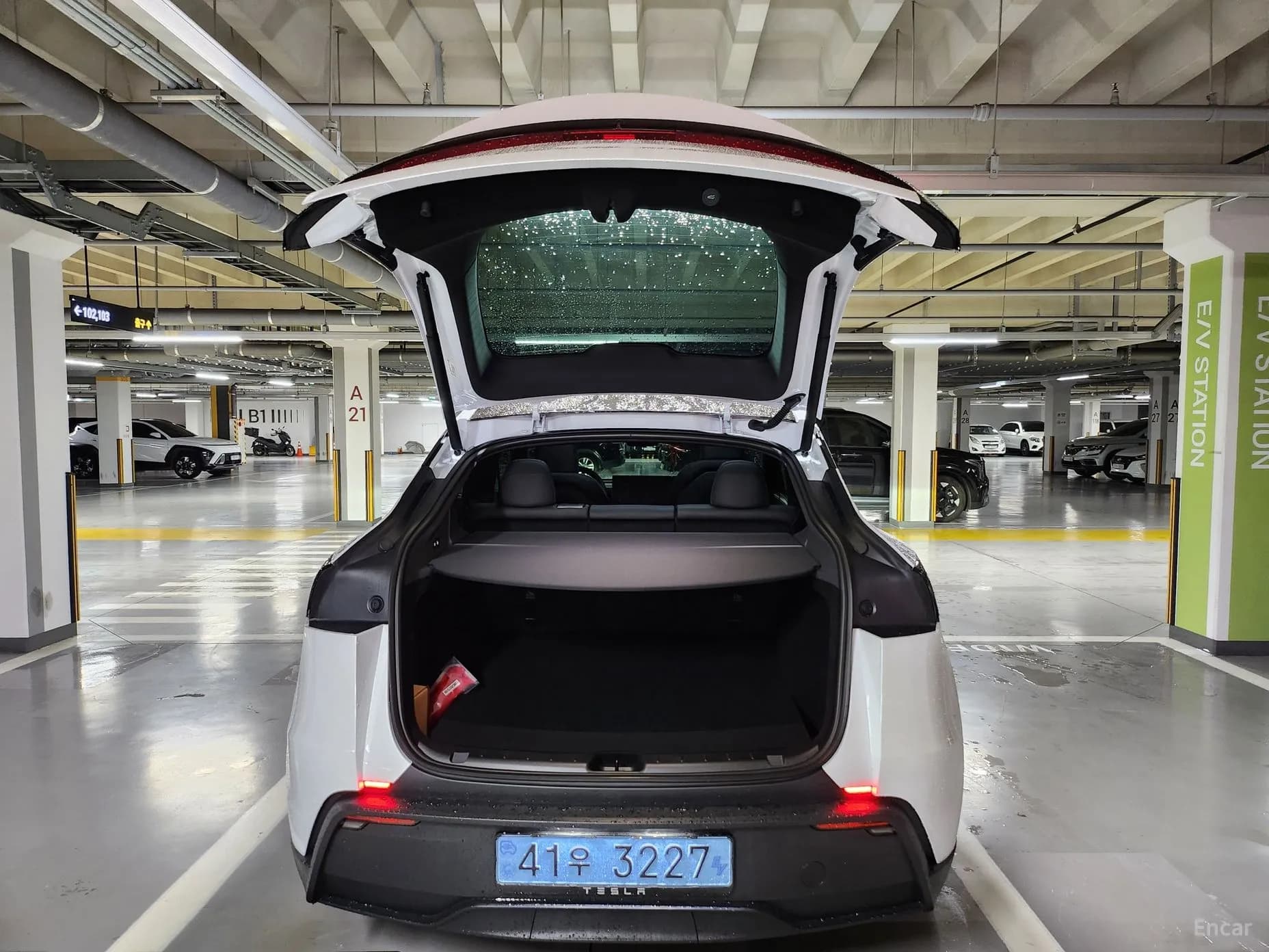 Model Y
