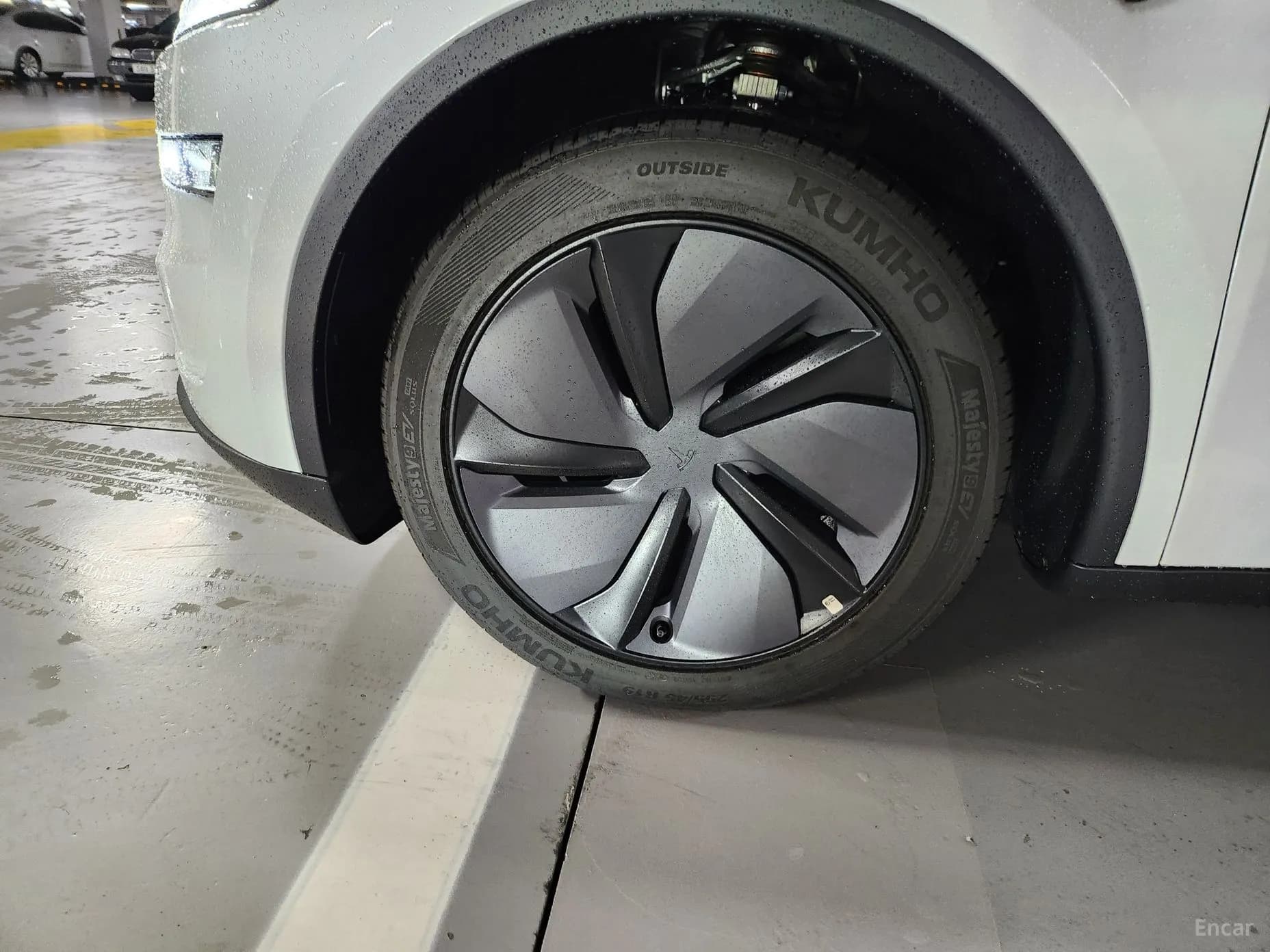 Model Y
