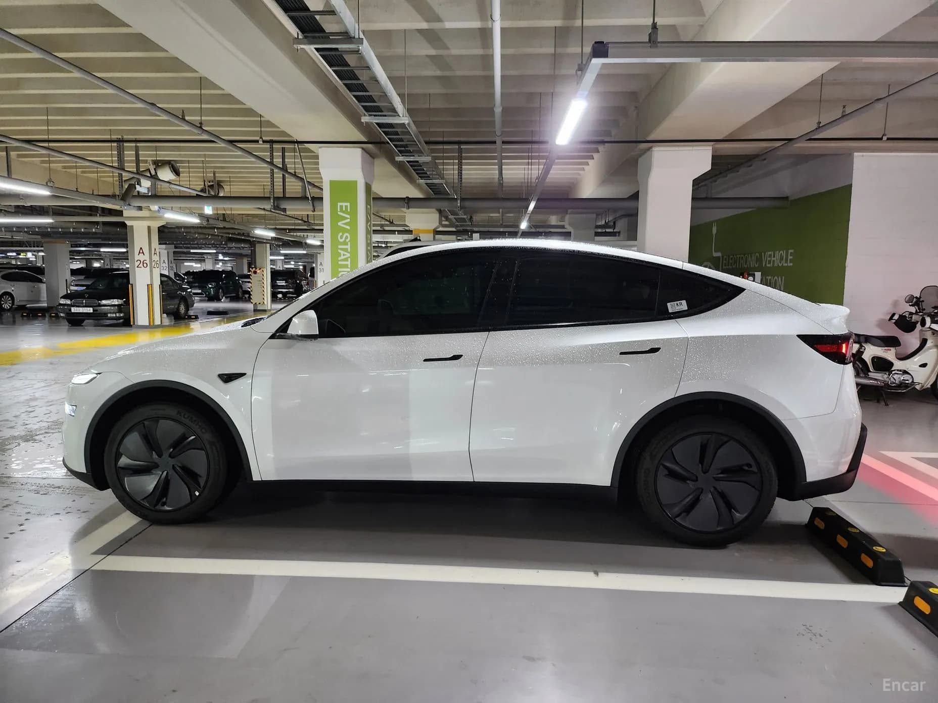 Model Y