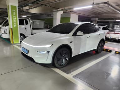 Model Y