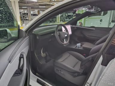 Model Y