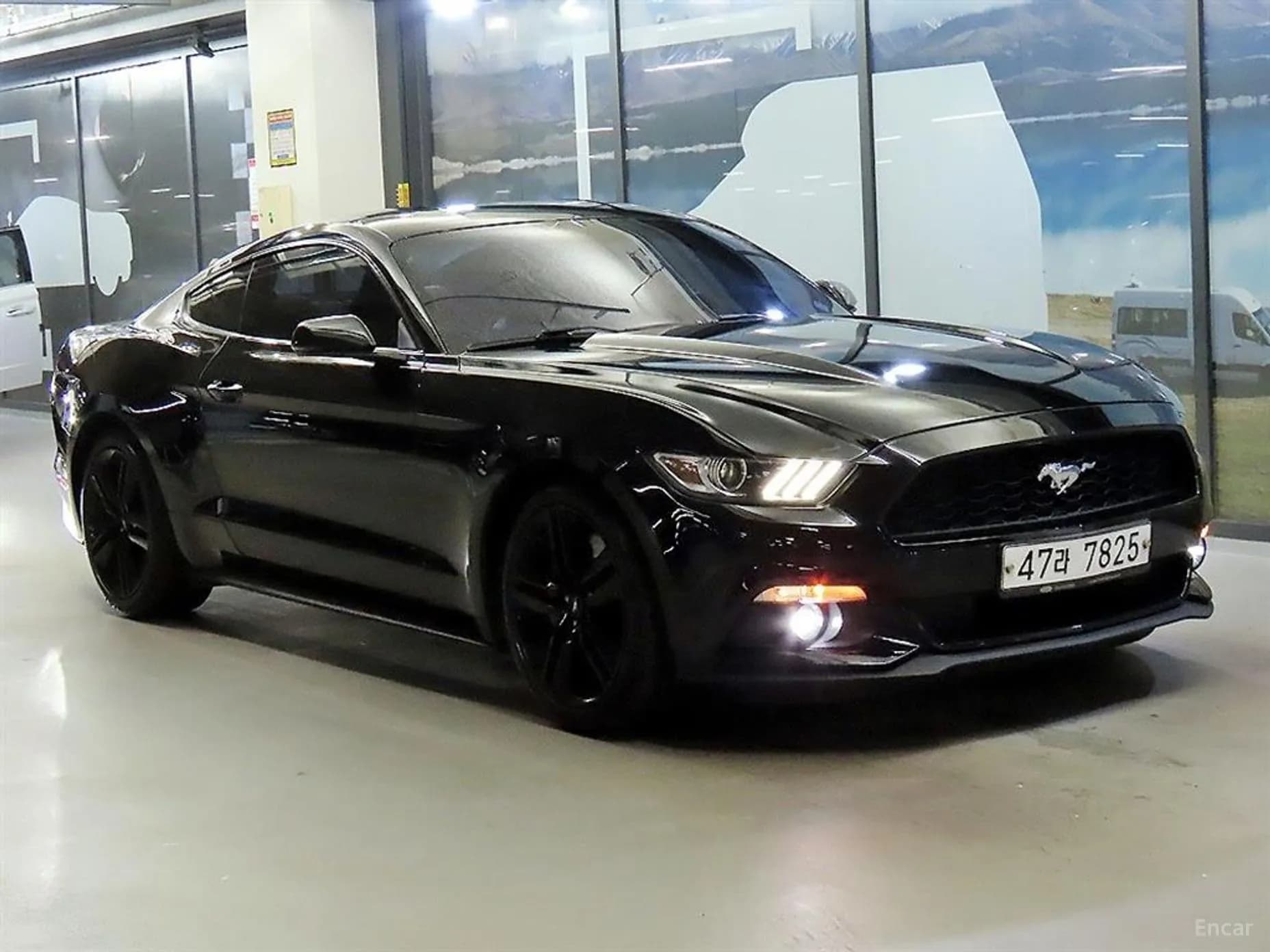 Mustang