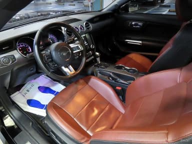 Mustang