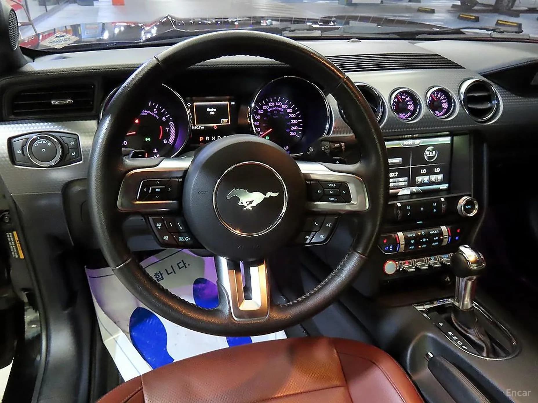 Mustang