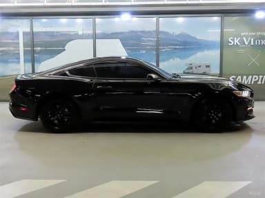 Mustang