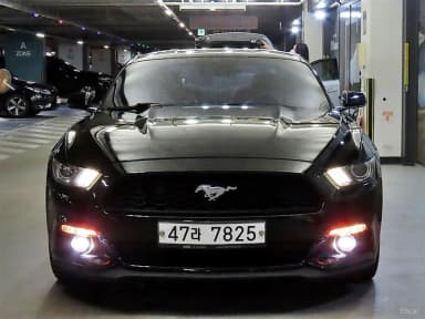 Mustang