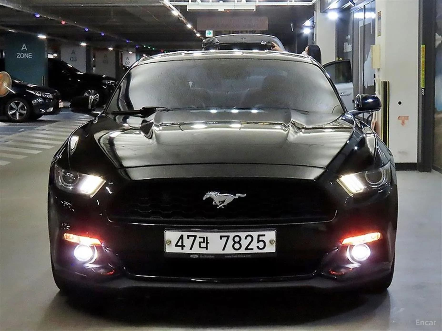 Mustang