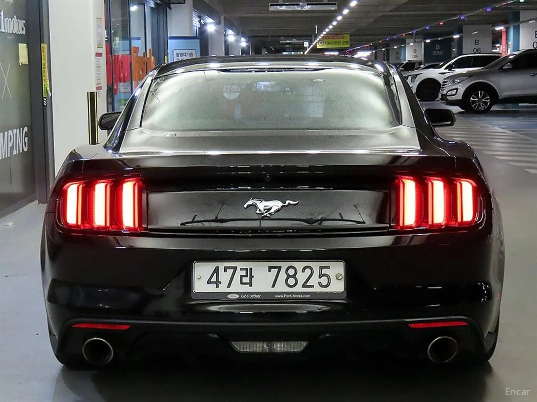 Mustang