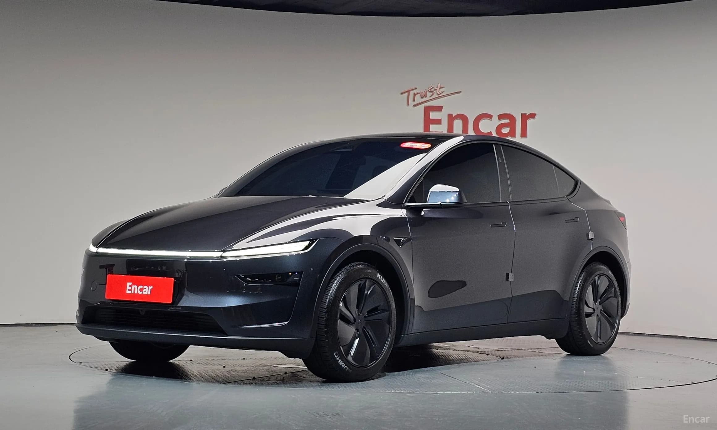 Model Y