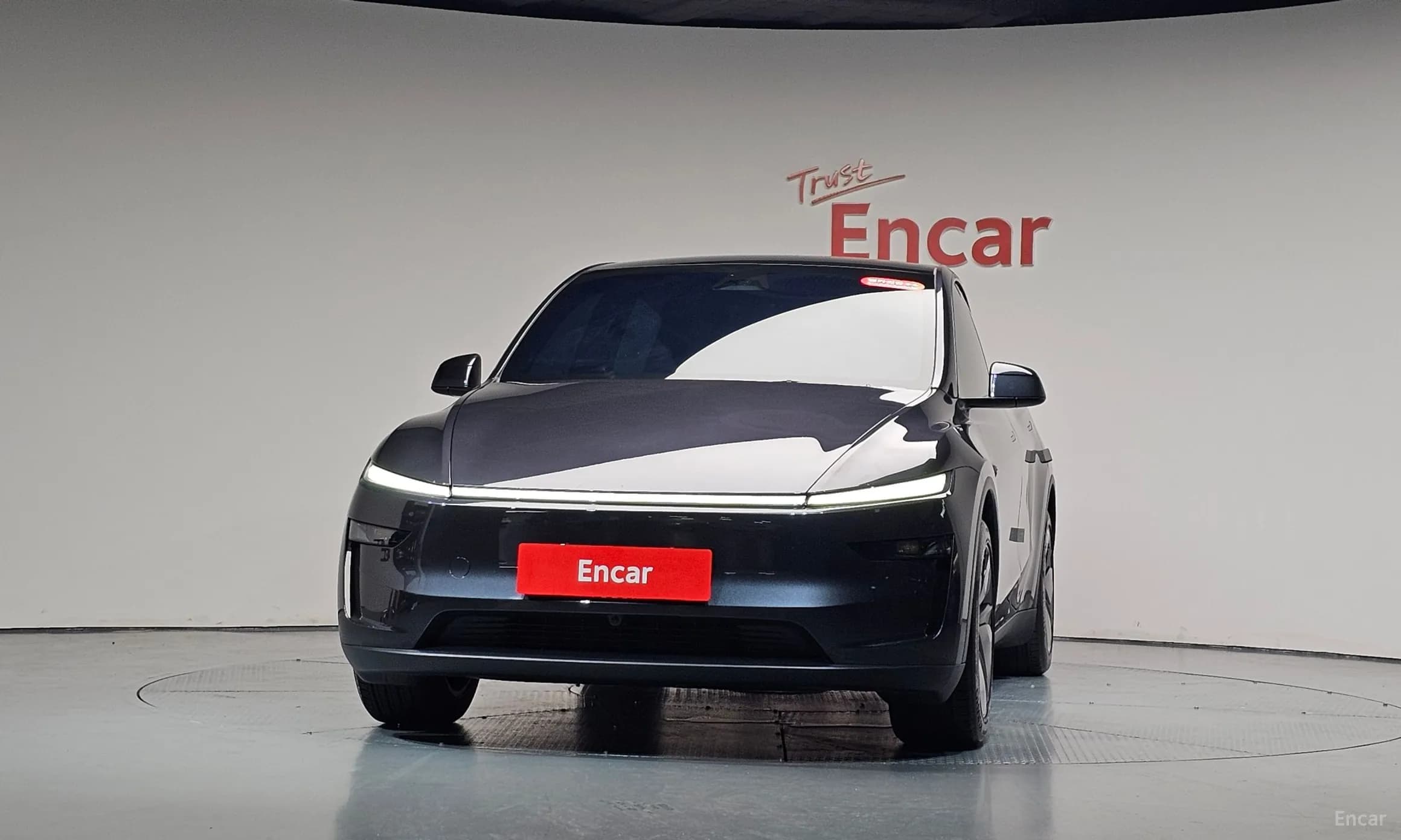 Model Y