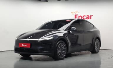 Model Y