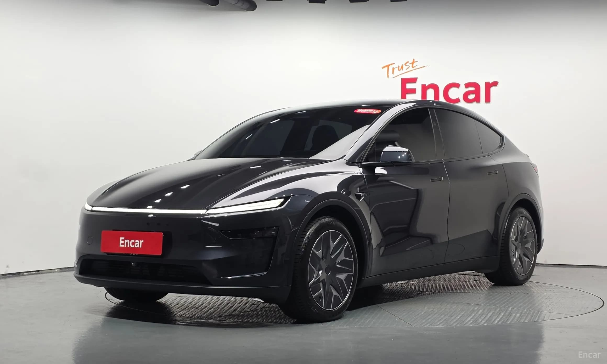 Model Y