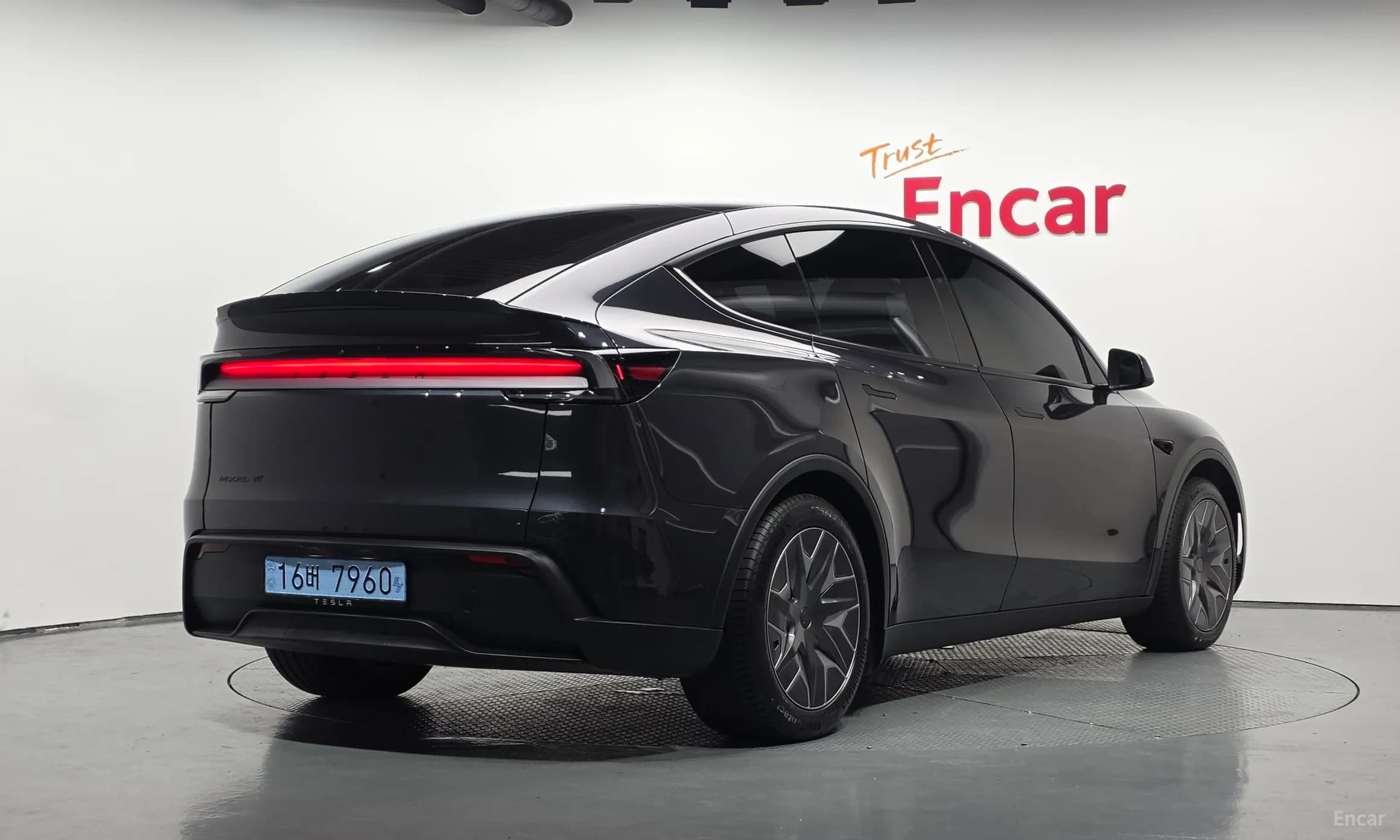 Model Y