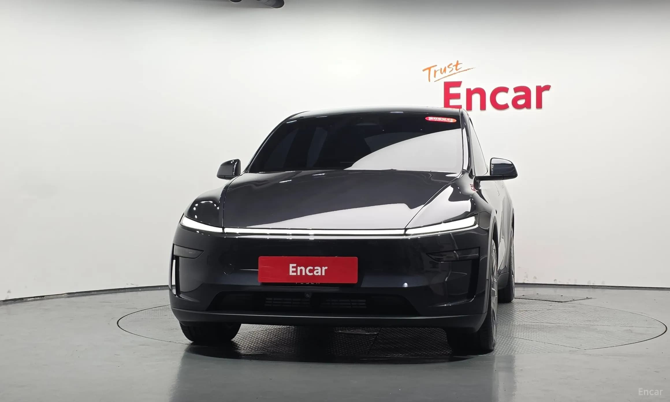 Model Y