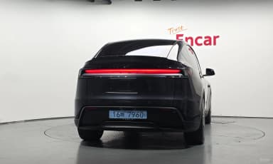 Model Y