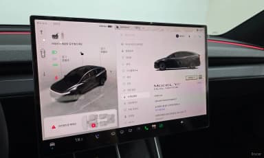 Model Y