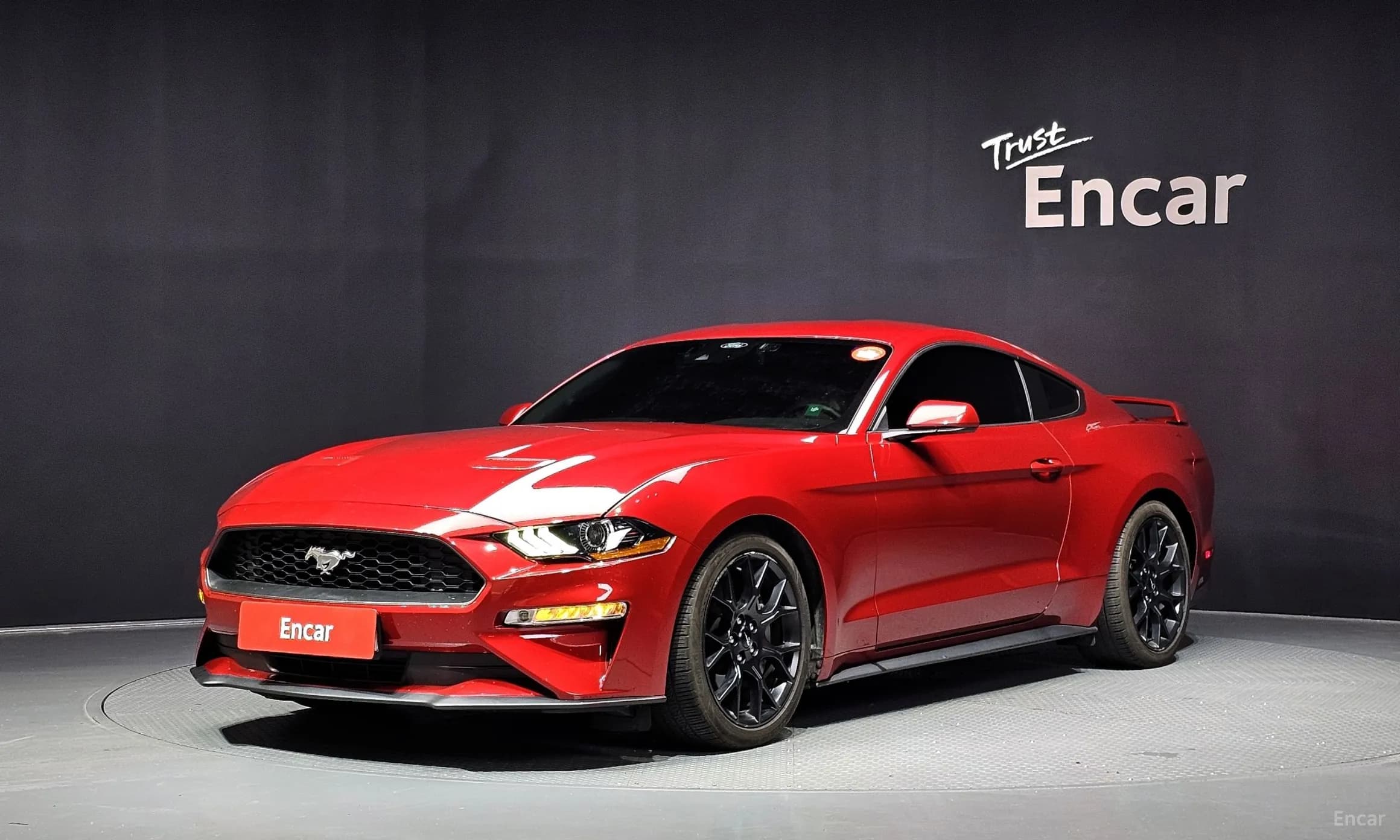 Mustang