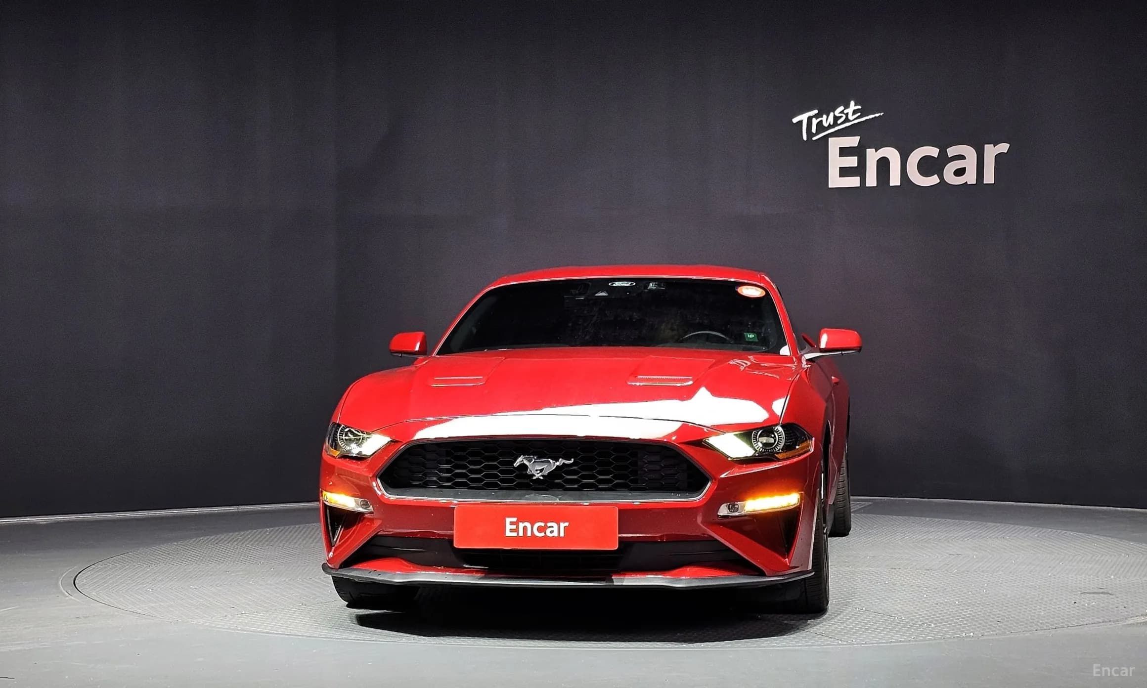 Mustang