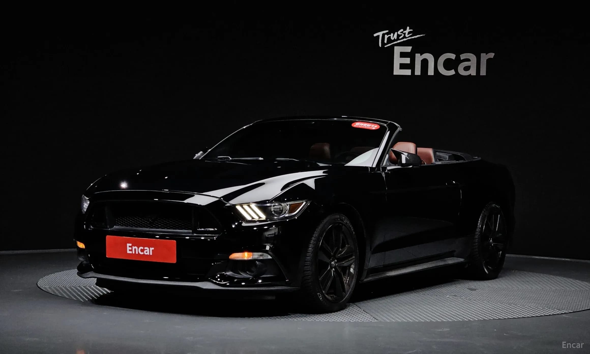 Mustang