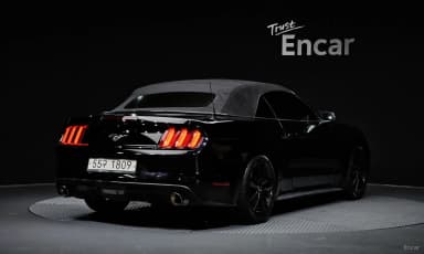 Mustang
