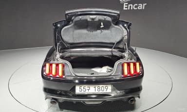 Mustang