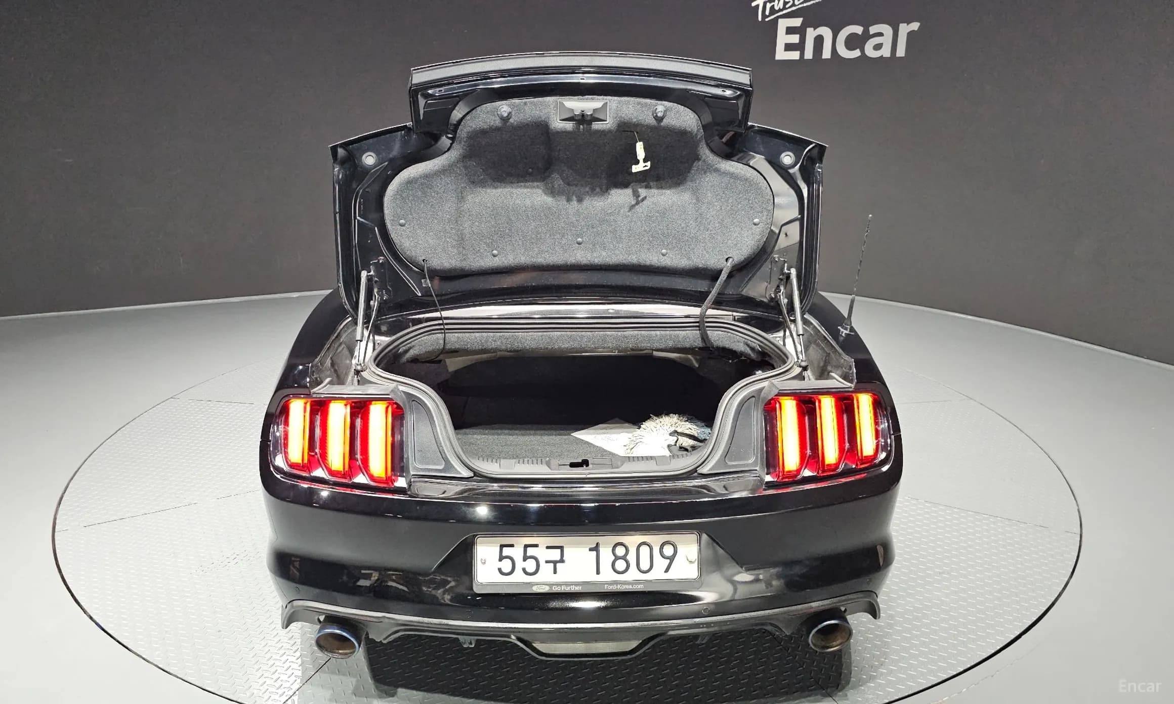 Mustang
