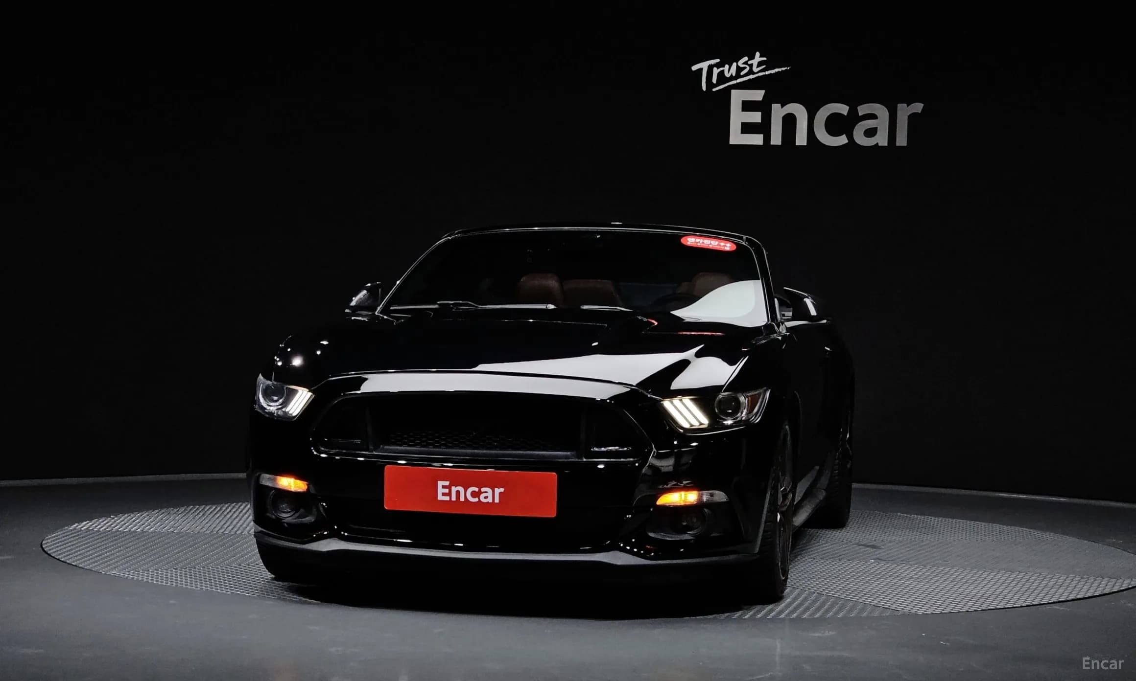 Mustang