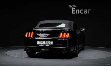 Mustang