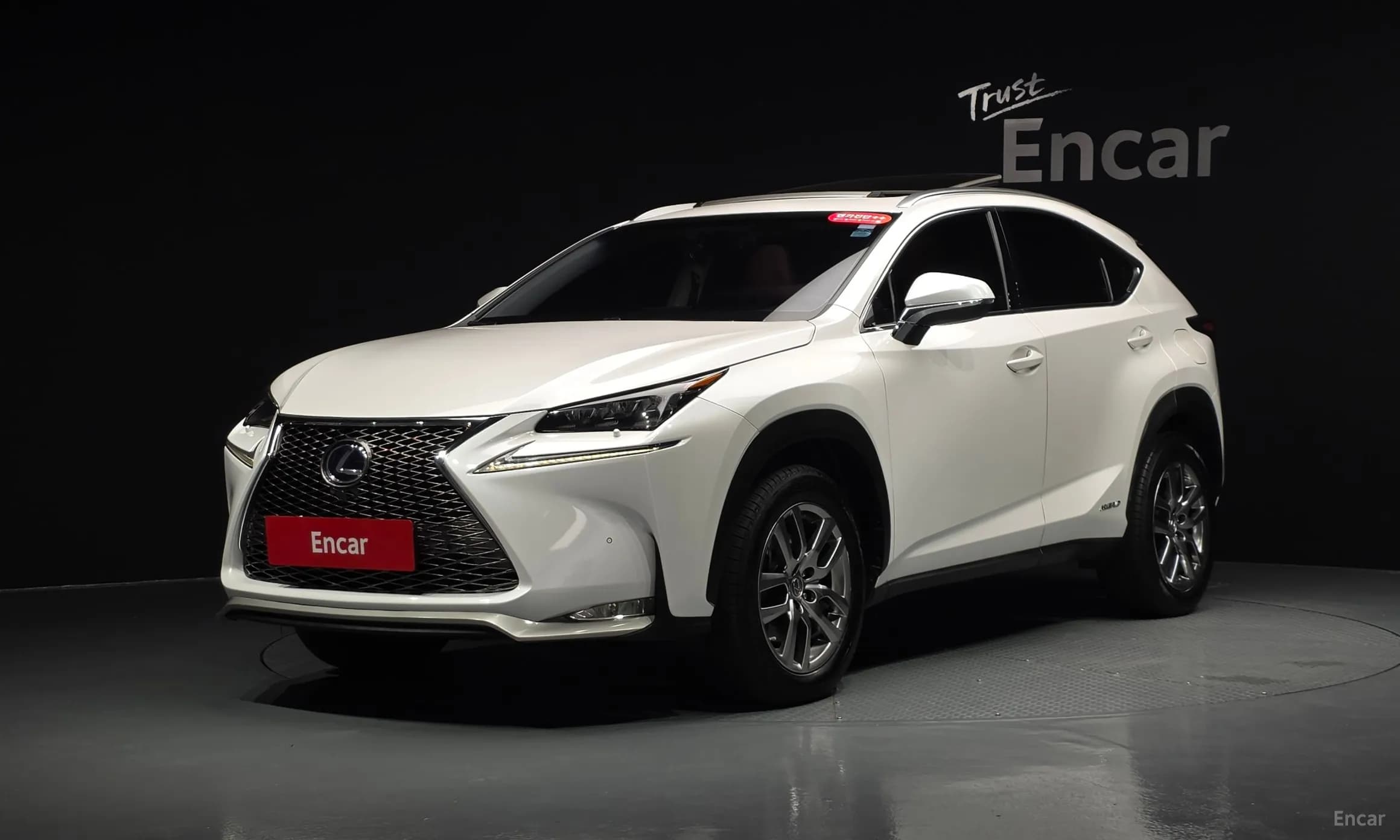 NX300h