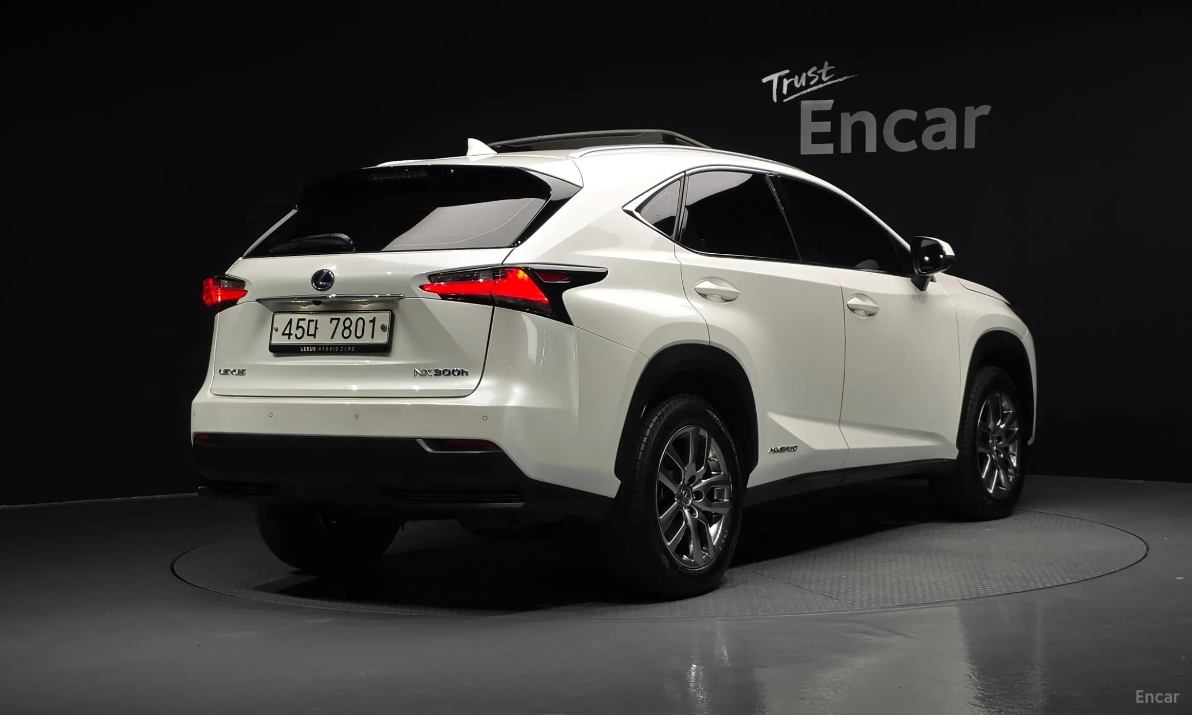 NX300h