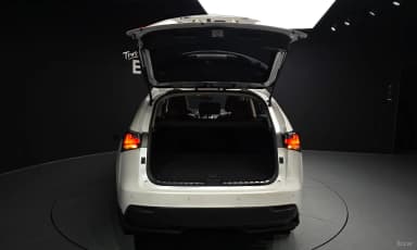 NX300h
