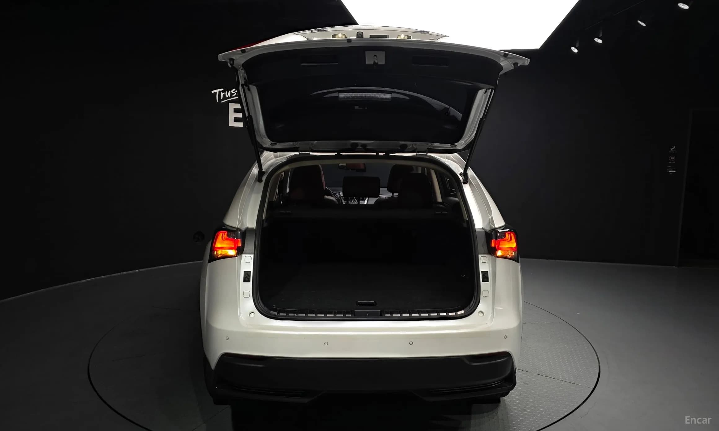 NX300h