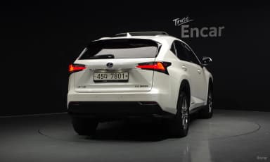 NX300h