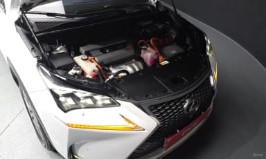 NX300h