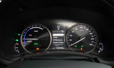 NX300h